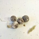 Seed bombs-03