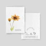 Tarjetas de plantación - Colección Candeur - Surtido de 5 tarjetas - Margarita amarilla