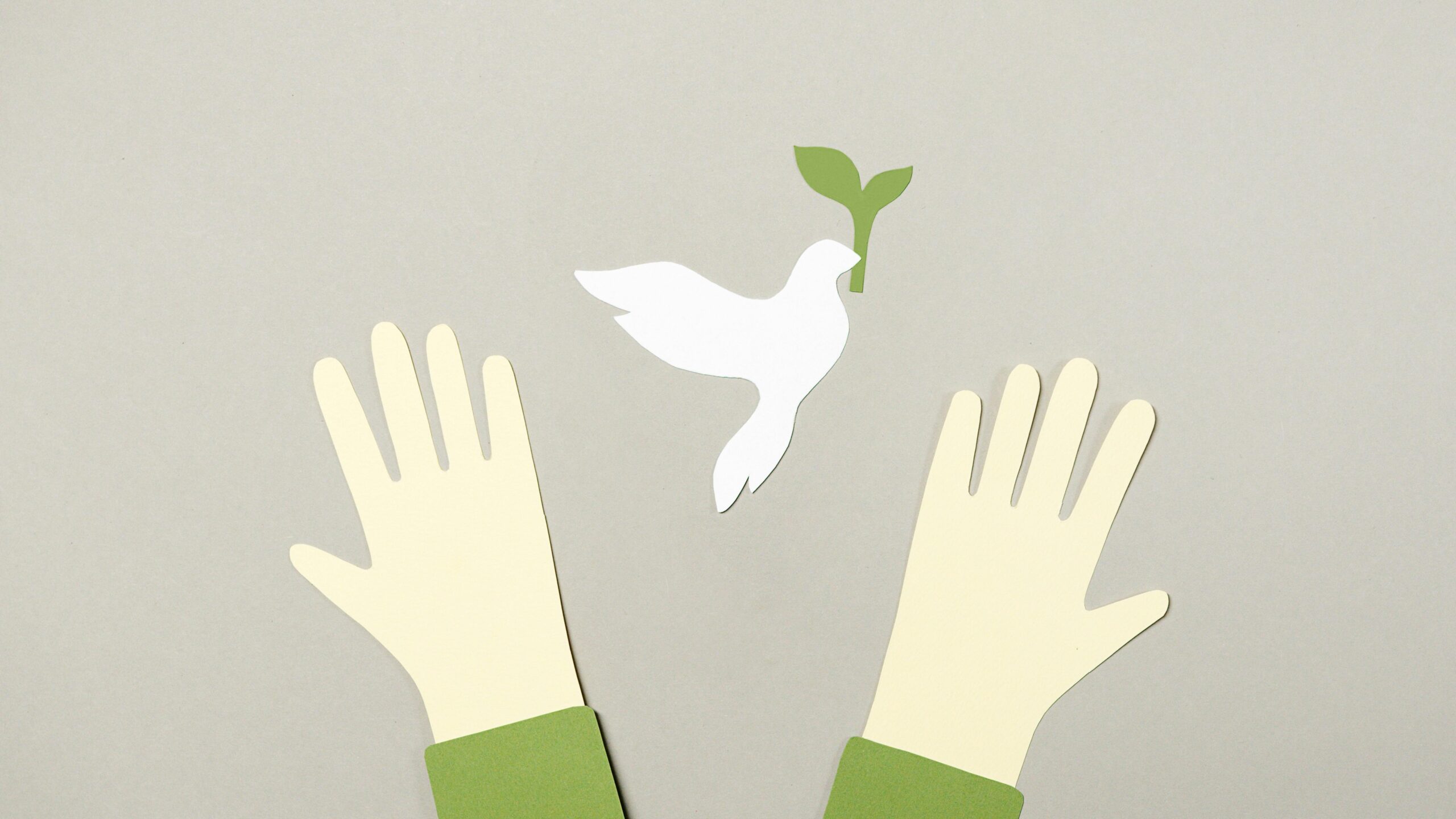 white dove holding a plant in its mouth between two hands